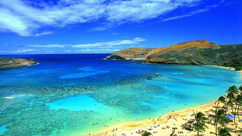 hawai2.jpg